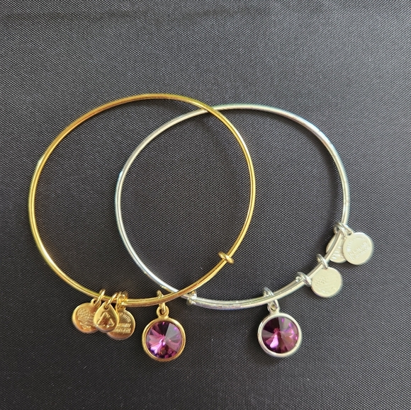 Alex and Ani Expandable Coppure Bangle Purple Stone Charm set of 2 - Picture 8 of 8